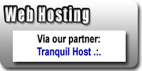 OFFSITE: We offer web hosting through our subsidiary, Tranquil Host .:.
